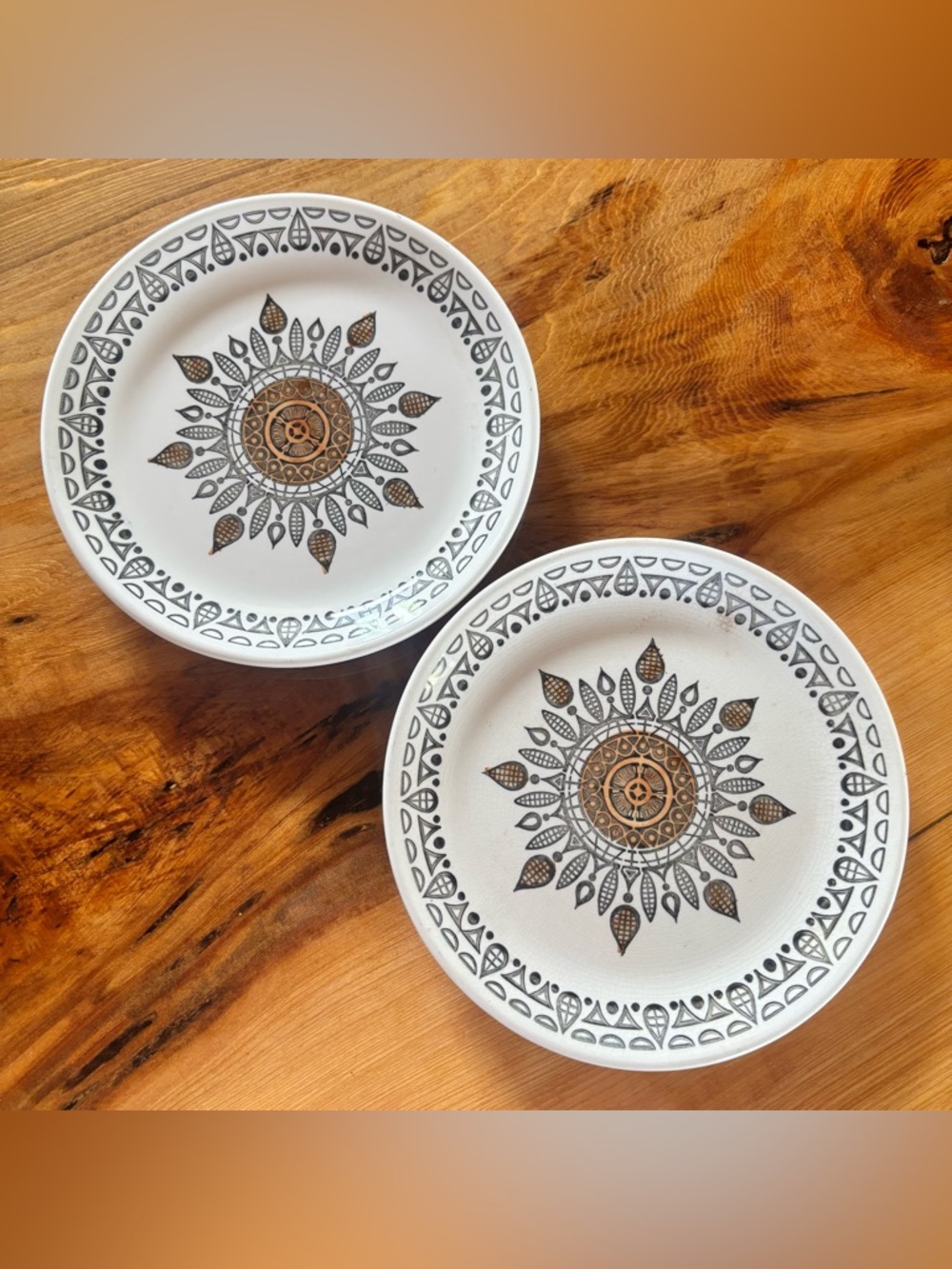 Set of 2 Biltons Staffordshire England Ironstone Plates